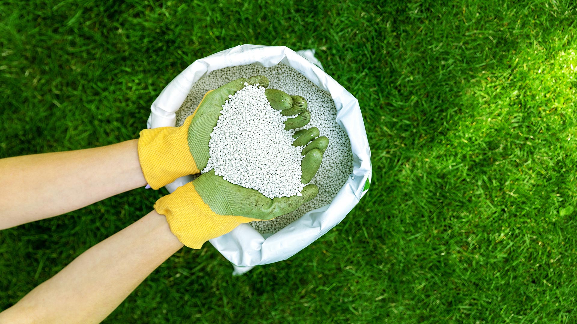 Here’s Exactly When to Fertilize Your Lawn in Kentucky