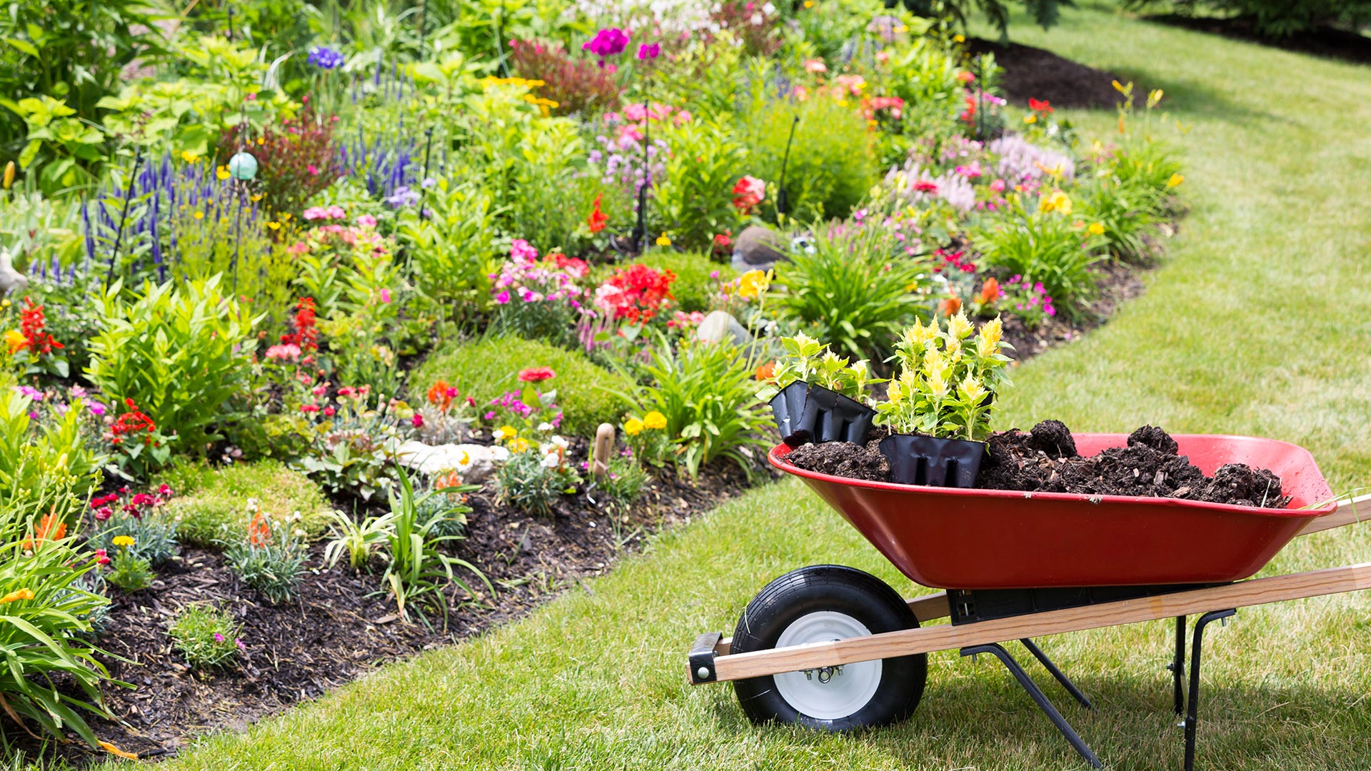 Always Consult a Professional Company Before Installing a New Landscape Bed
