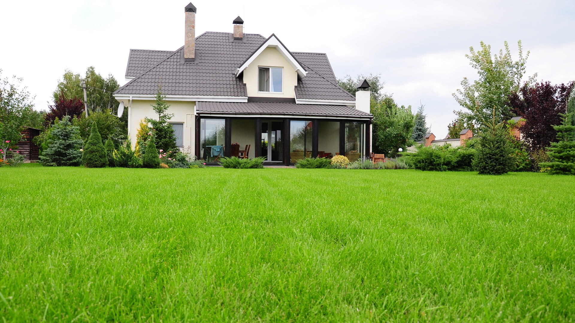 Sod vs Seed - Which Option Is Better for Establishing a New Lawn?