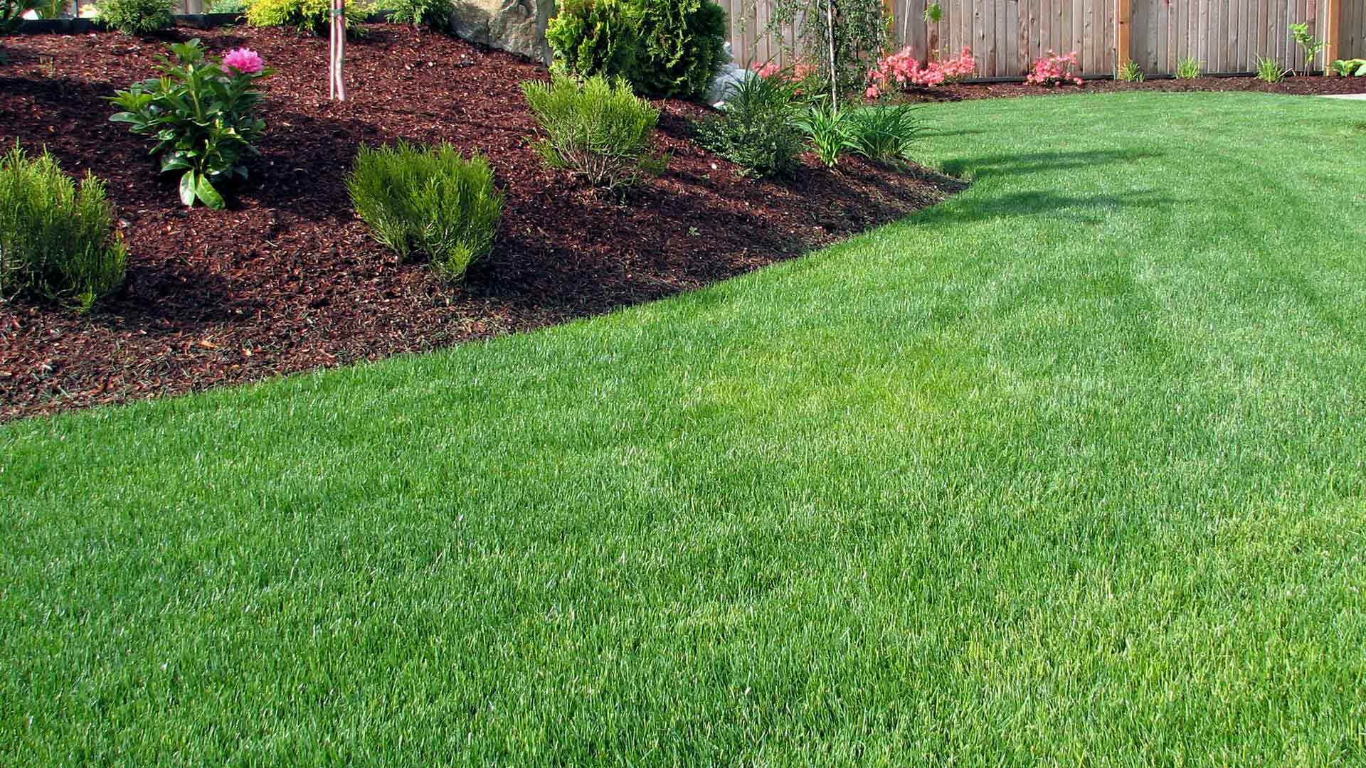 Landscape bed and lawn maintained by professionals in Springhurst, KY.