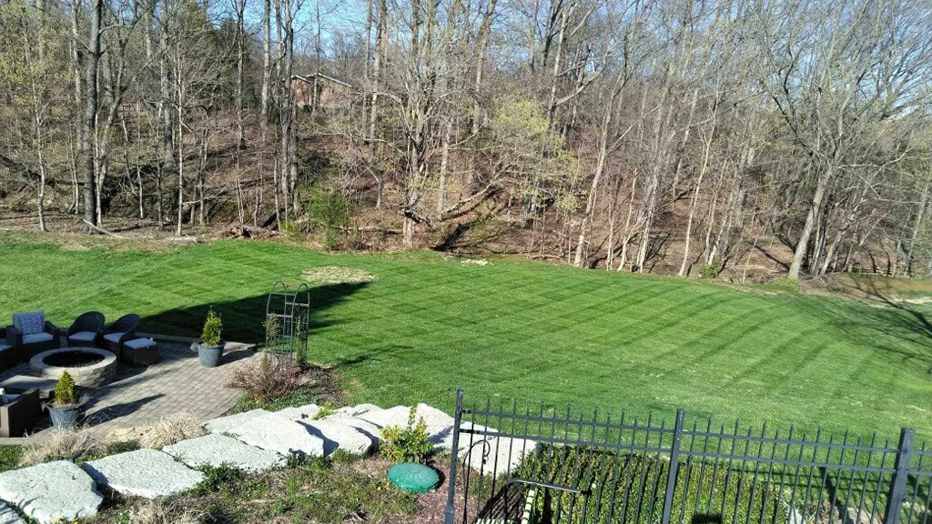 Mower patterns in a large backyard in Worthington, KY.