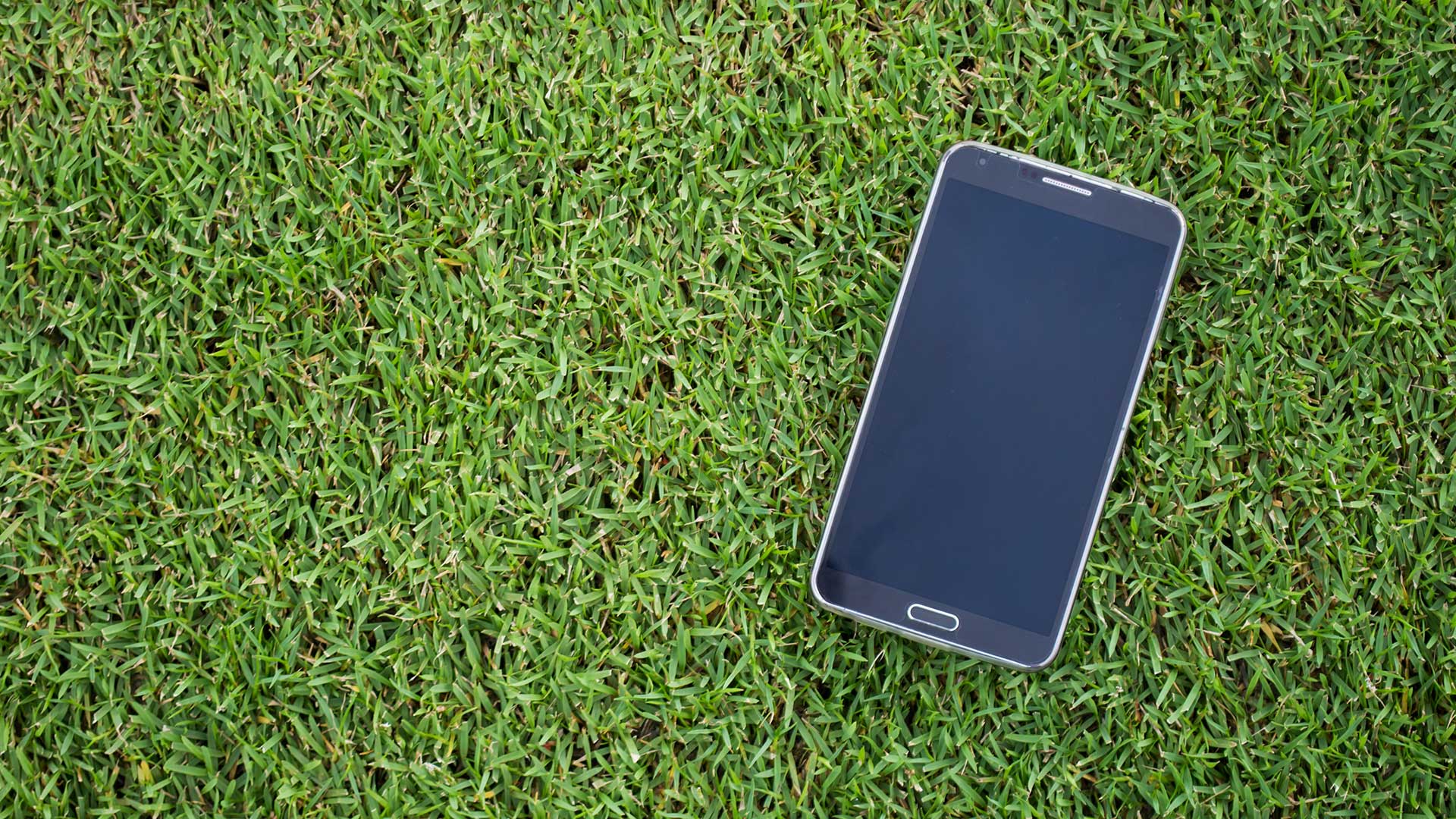 A phone laying in the grass on a property in Prospect, KY.