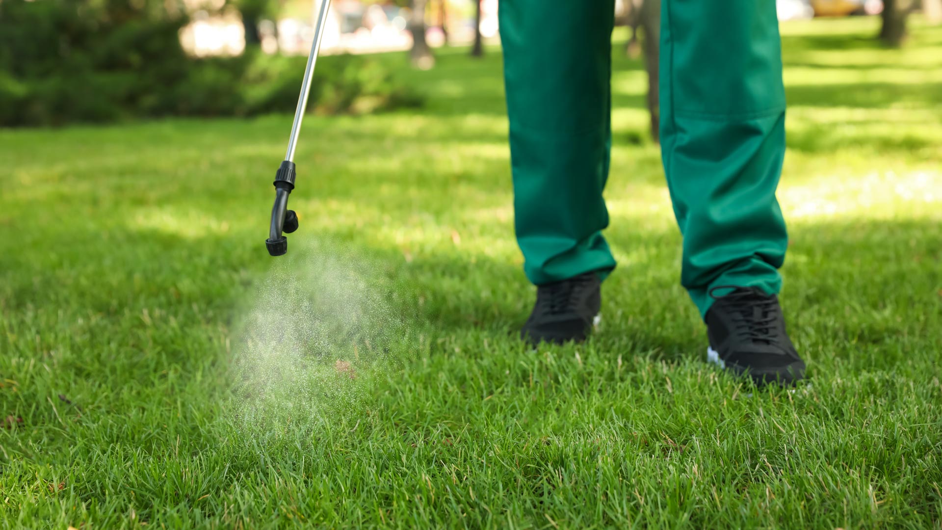 Pre-emergent Weed Control - What Is It & When Should You Apply It?