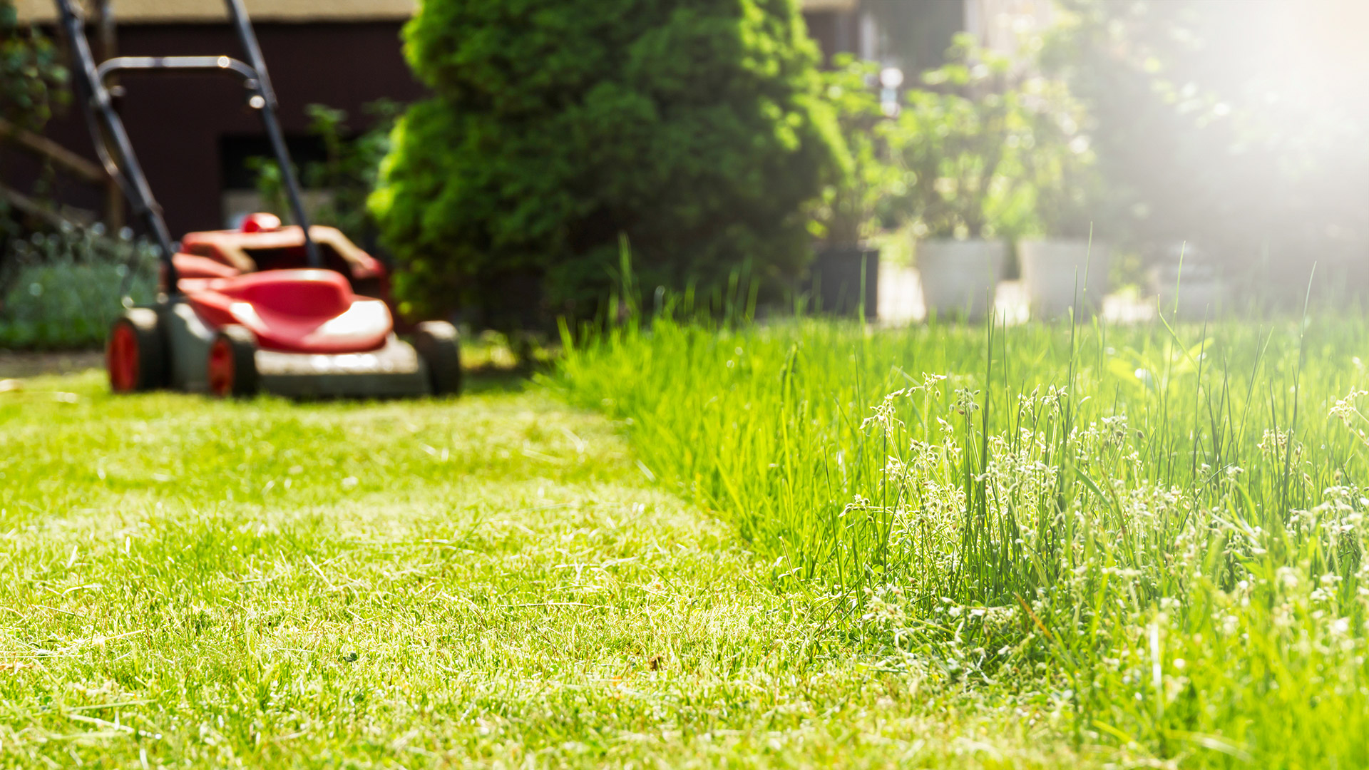 3 HUGE Lawn Mowing Mistakes to Avoid