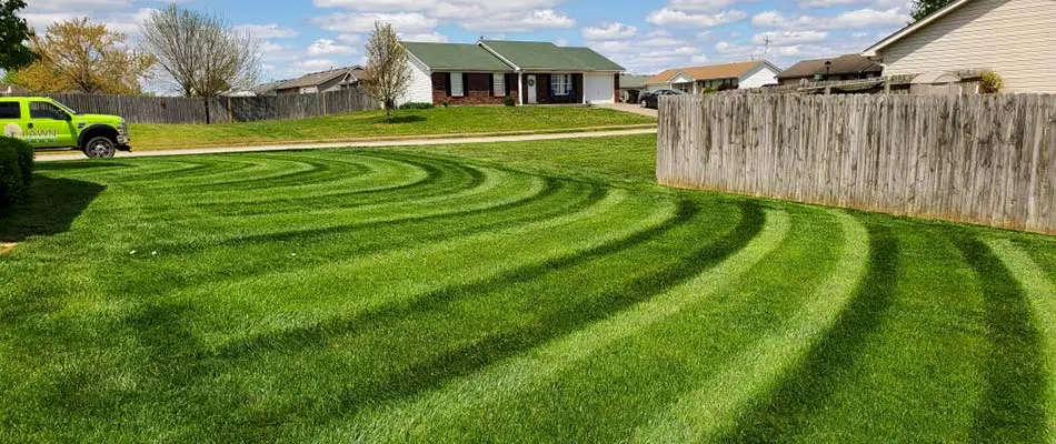 Beautiful, vibrant lawn grass after mowing services near Prospect, KY.