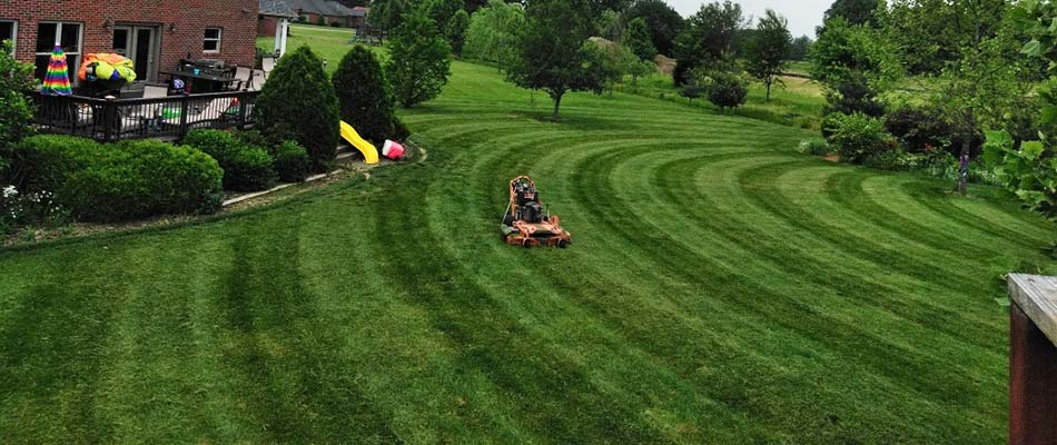 The Perfect Mowing Schedule for Lawns in Indiana