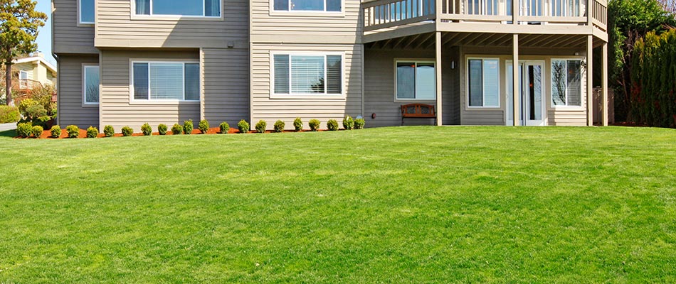 A large healthy backyard with regular lawn care in Anchorage, KY.