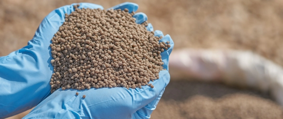 Granular phosphorus pellets for fertilizer in Prospect, KY.
