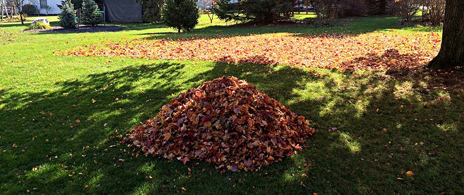 A pile of leaves during leaf removal on a property in Jeffersonville, IN.