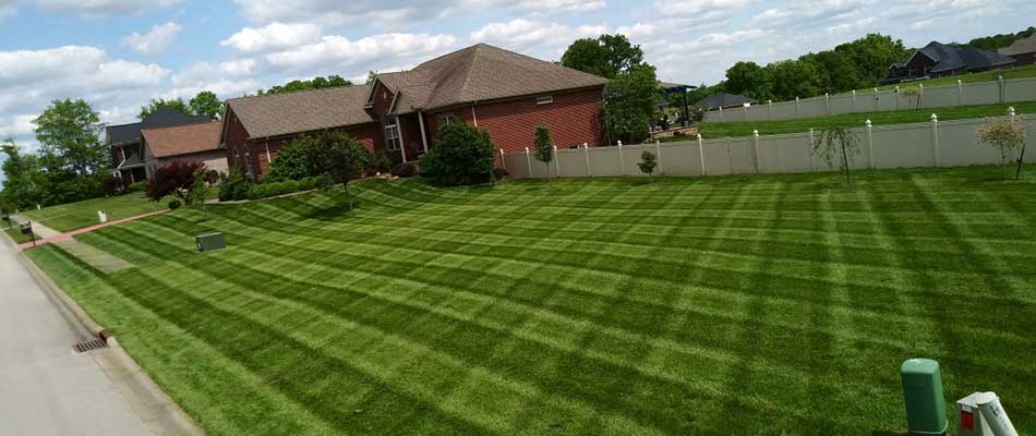 Precise mowing lines at a home in Louisville, Kentucky.