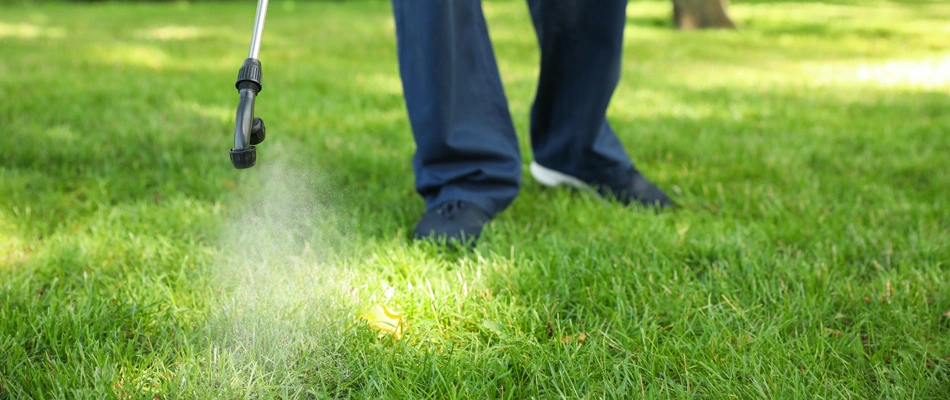 A technician spraying pre-emergent weed control over a lawn in West Buechel, KY.