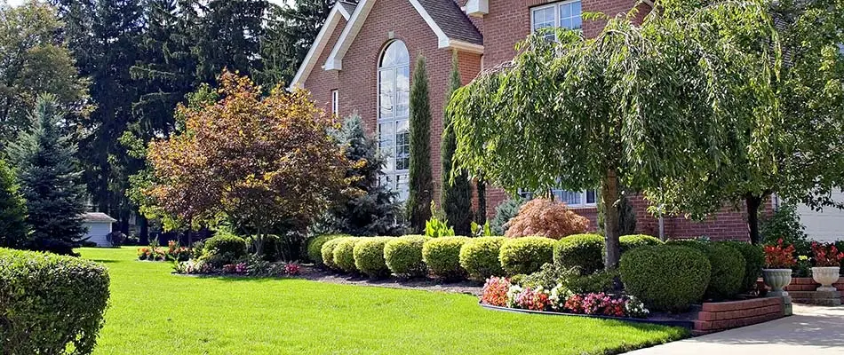 Landscaping in front of a Charlestown, IN home with well maintained trees and bushes.