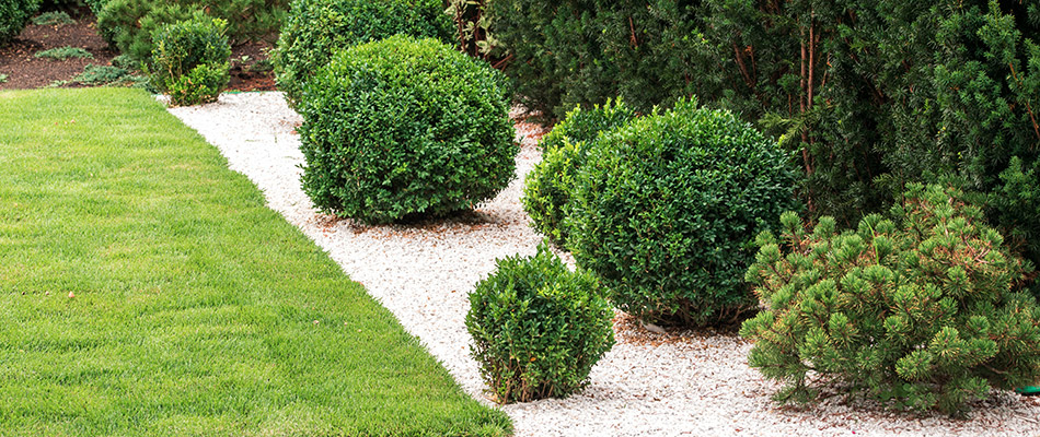 A landscape bed of well trimmed bushes on a property in Hurstbourne, KY.
