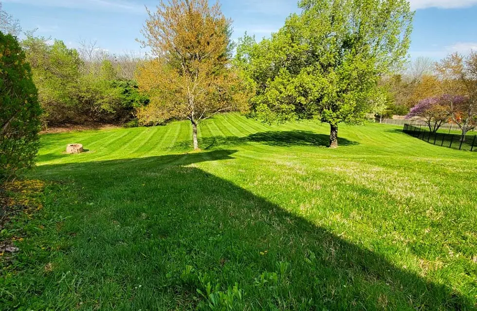 A Jeffersonville, IN lawn with regular lawn care and maintenance.
